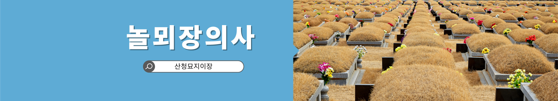 놀뫼장의사 PC 비주얼 0